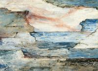 Кора дерева