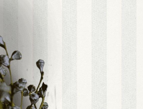 Фото A.S.Creation Meistervlies 6 32009-1