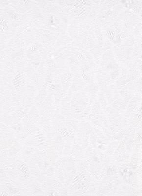 Фото Erismann Robusto Vol.2 3903-01