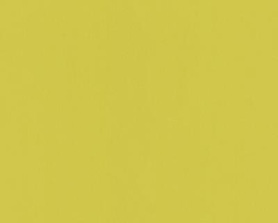 Фото A.S.Creation Sunlight 2 705662