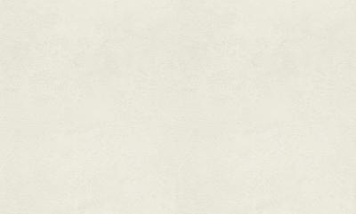 Фото Rasch Metal Spirit 977110