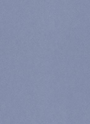 Фото Erismann Isabella 5918-08