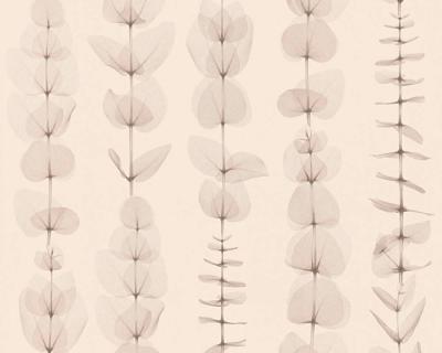 Фото A.S.Creation X-Ray 34246-1