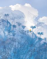 Komar 6041A-VD2 (Blue Sky)