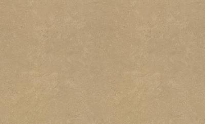 Фото Rasch Metal Spirit 977165