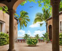 Зелень во дворе