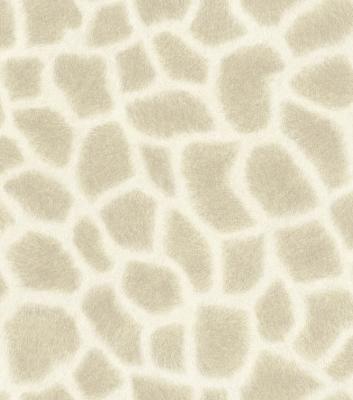 Rasch African Queen 2014 422863