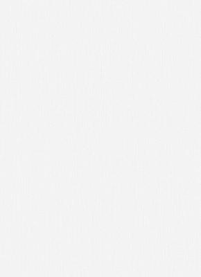 Фото Erismann Fashion for Walls 3 106 12035-38