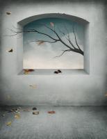 Осенние листья