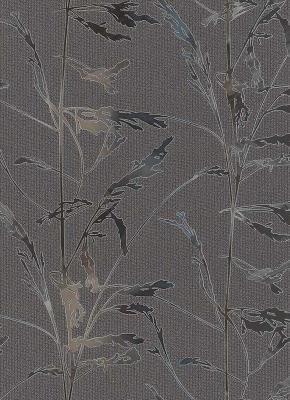 Фото Erismann Claire 6428-37