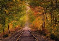 Komar 8-903 (Золотая осень)