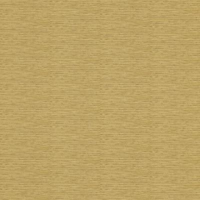 Фото Rasch Factory 2014 438925