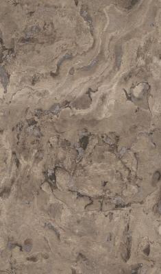 Фото Rasch Black Forest 2016 514629