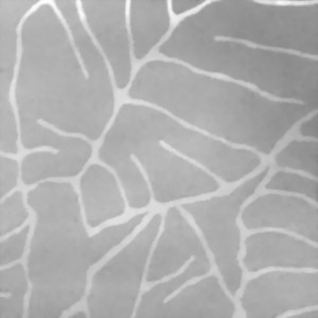 Фото BN International Diva 43700