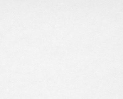 Фото A.S.Creation Maistervlies 2020 20001-3