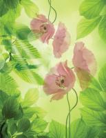 Маки на зеленом фоне