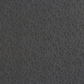 Фото BN International Motion 46613