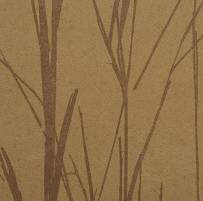 Фото BN International Authentique 45760