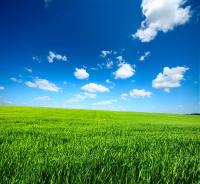 Облака над травой