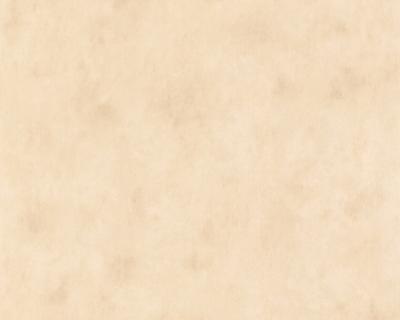 Фото A.S.Creation Boys and Girls 5 6888-11