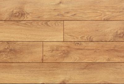 Фото My Step Terra MS148 Дуб Рим