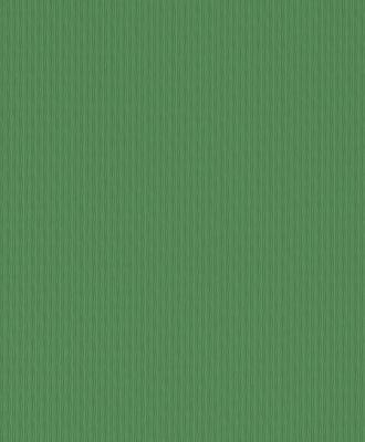 Фото Rasch Chorus Line 2014 469318