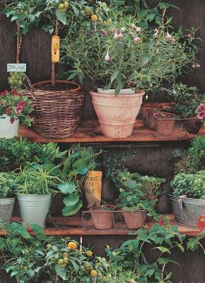 Фото Erismann Instawalls 6386-07