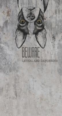 Фото Erismann Elle Decoration 3 2266-10 (плотность 155 гр/м2)