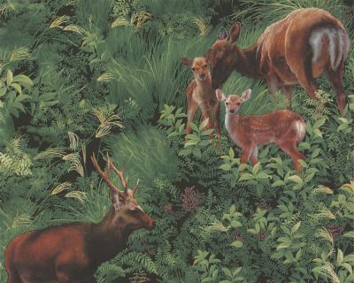 Фото A.S.Creation Decora Natur 4 664419