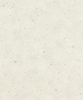 Фото Rasch Factory 2 475203