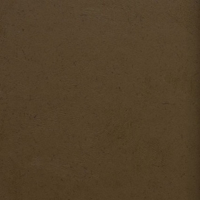 Фото BN International Authentique 45735