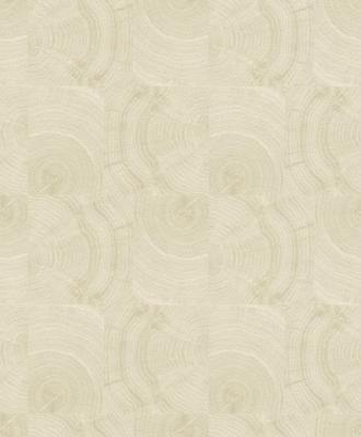 Фото Rasch Factory 2014 438840