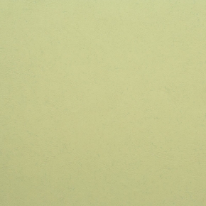 Фото BN International Authentique 45739