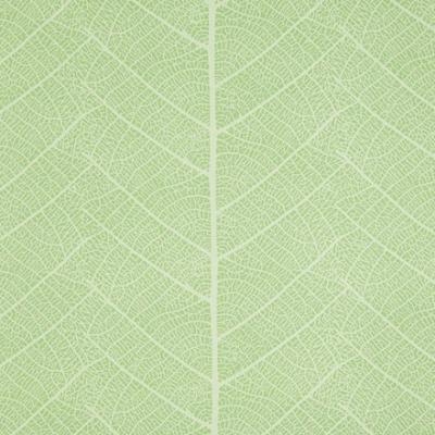 Фото Sandudd Rolleri 7 4955-3