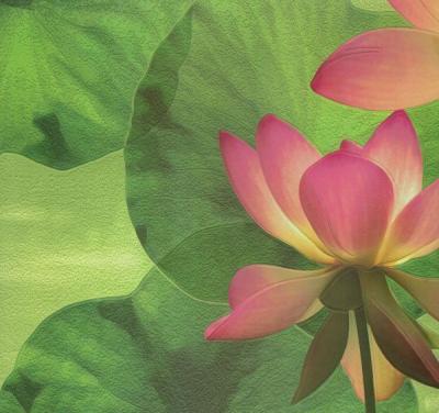 Фото Rasch Tiles & More 818710