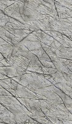 Фото Rasch African Queen 2 474015