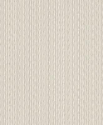 Фото Rasch Chorus Line 2014 469455