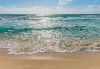 Komar 8-983 (Seaside)