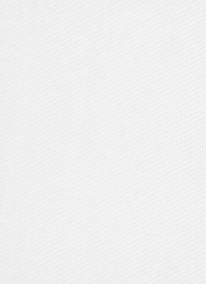 Фото Erismann RollOver 5390-10 (5390-01)