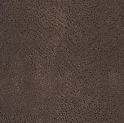 Фото Rasch African Queen 2014 423617