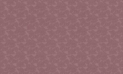 Фото Rasch Maximum XI 926224