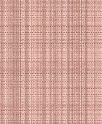 Фото Rasch Funky Flair 2015 721515