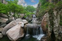 Скалы и деревья