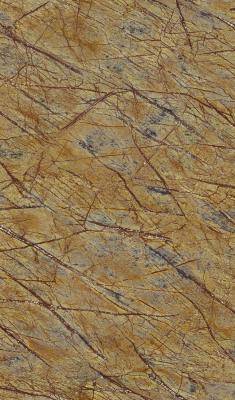 Фото Rasch African Queen 2 474022