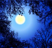 Полнолуние