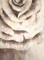 Расколотая роза