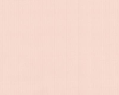 Фото A.S.Creation Duetto 854629