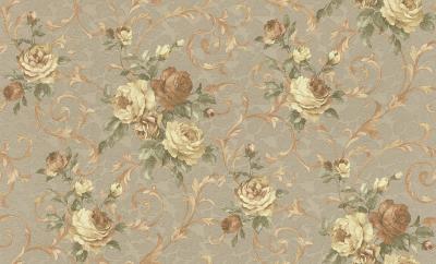 Rasch Maximum XI 926101