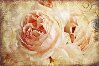 Винтажный букет