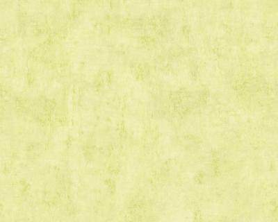 Фото A.S.Creation Used Look 224149